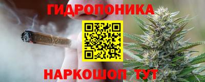 PSILOCYBIN Кандалакша