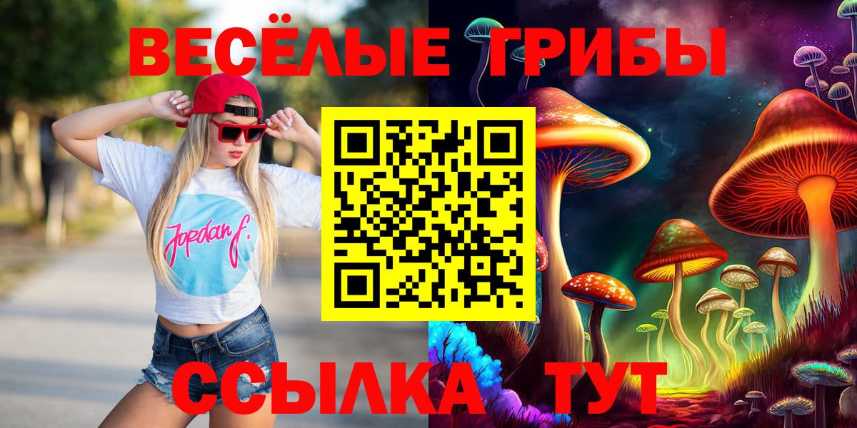 Псилоцибиновые грибы ЛСД  Вход с VPN  Галлюциногенные грибы Psilocybe  Янаул 