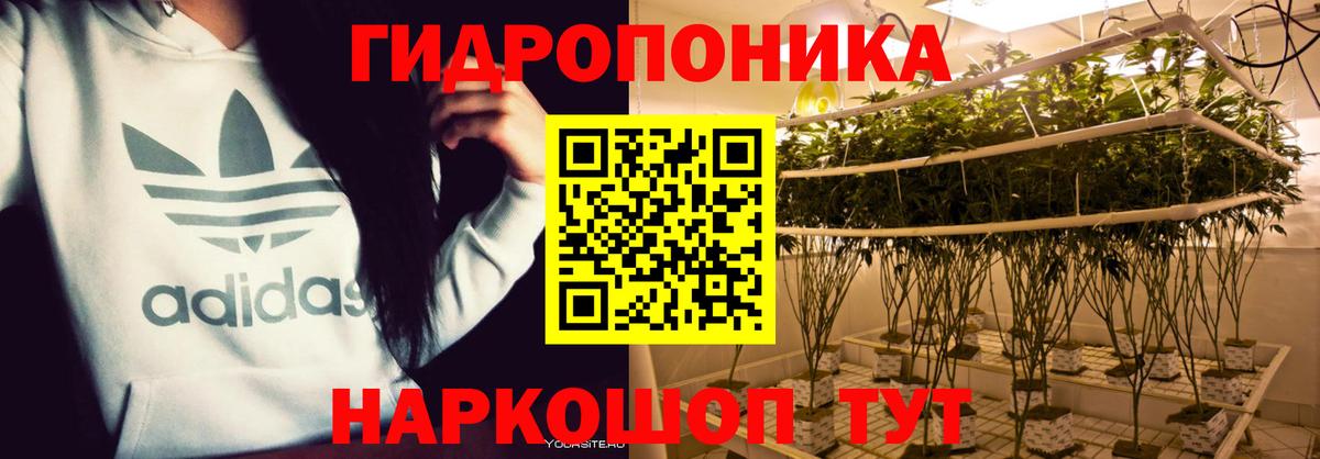 Шишки марихуана планчик  Конопля конопля  Вход с VPN  Канабис семена  Янаул  Конопля планчик 